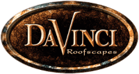 Da Vinci Logo