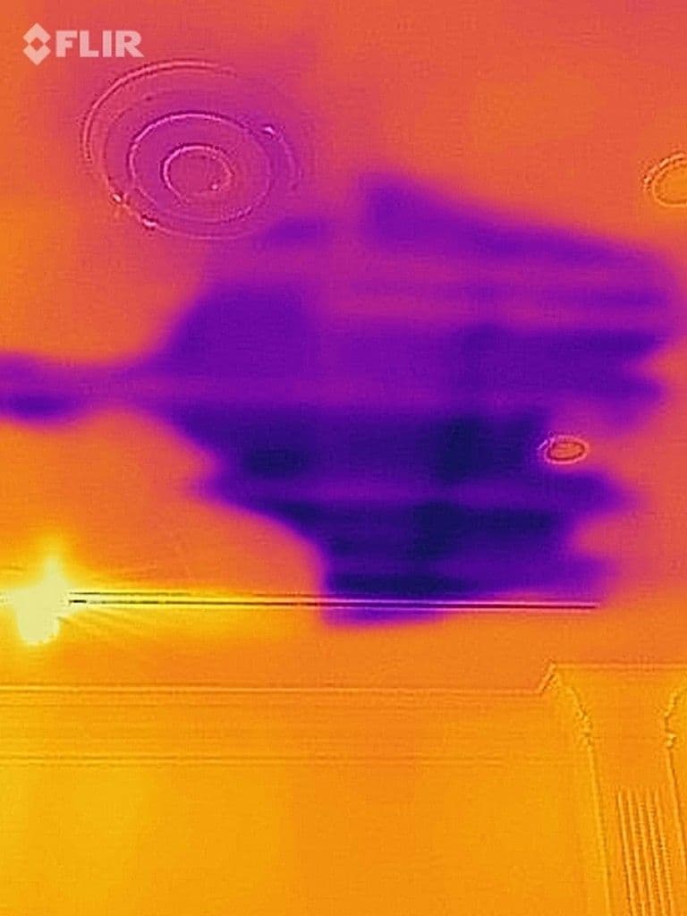 Picture of infared detection to identify moisture